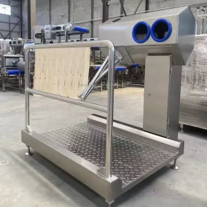 Automatic Induction Manage Personnel Cleaning Disinfection Hygienic Entrance Process Hygiene Station