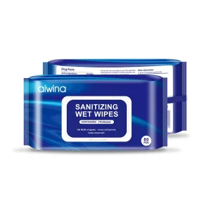 Disposable Leather Sneaker Cleaner Shoe Clean Polish Shine Wet Wipe