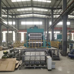 Paper Pulp Molding Egg Tray Machine Quail Egg Tray Making Machine