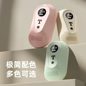 Portable Intelligent Shoe Dryer with Display Screen Home Appliance for Household Use